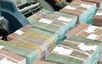 TP.HCM: Thu ngân sách Nhà nước tăng hơn 11%