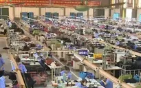 Thu ngân sách nội địa tăng nhờ kinh tế tăng trưởng khá