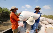 Mua tạm trữ 1 triệu tấn gạo từ ngày 1/3/2015