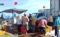Thu mua hải sản tự phát do cảng cá quá tải