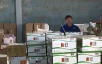 Công ty Thuận Phong làm giả nhãn hiệu phân bón nước ngoài