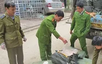 Phát hiện hơn 600kg da lợn bẩn, nhiều phụ phẩm không nguồn gốc