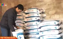 Nghịch lý chi phí giảm, giá thức ăn chăn nuôi vẫn cao