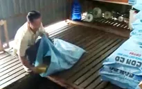 Đề nghị miễn thuế VAT cho thức ăn chăn nuôi