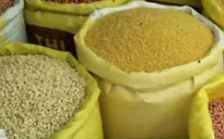 Thực phẩm biến đổi gen: Nhiều người sử dụng mà không biết