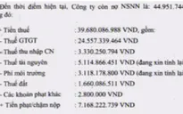Công ty vàng Bồng Miêu xin miễn thuế chậm nộp do thiên tai