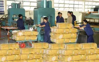 Gia Lai: Kim ngạch xuất khẩu đạt kỷ lục