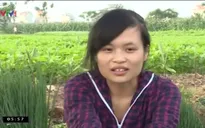 Thủ khoa đại học từ vùng nông thôn nghèo