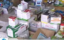 Nông dân bị chỉ định dùng thuốc BVTV đắt hơn thị trường