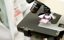 Mỹ, Trung Quốc phát triển kháng thể mới điều trị MERS