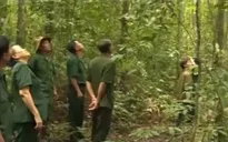 Những thương binh giữ rừng ở Bình Phước