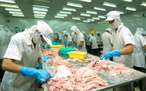 Việt Nam đứng trước nguy cơ mất thị trường xuất khẩu thủy sản