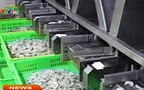 Xuất khẩu sản phẩm nông nghiệp giảm mạnh