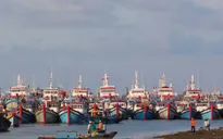 Vướng mắc khi triển khai Nghị định 67 về phát triển thủy sản