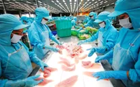 Thị trường xuất khẩu thủy sản vẫn khó khăn