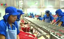 Điều chỉnh tỷ giá tác động thế nào đến doanh nghiệp nội?