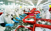 VASEP đề xuất giảm lãi suất cho DN thủy sản để tăng sức cạnh tranh