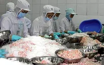Thủy sản xuất khẩu bị trả về do không đạt tiêu chuẩn