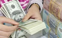 Tỉ giá USD/VND hạ nhiệt
