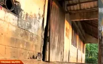 Tiền Giang: Hàng trăm hộ dân lao đao vì dự án trên giấy