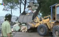 TT-Huế: Tiêu hủy số lượng lớn hàng giả, kém chất lượng