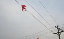 Hiểm họa khôn lường khi thả diều trong thành phố