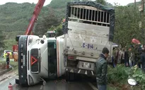 Tai nạn giao thông nghiệm trọng trên QL4D (Lào Cai), 2 người tử vong