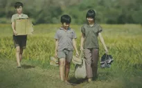 Diện mạo điện ảnh Việt (Kỳ 2): 'Ngọn lửa' mang tên 'Tôi thấy hoa vàng trên cỏ xanh'