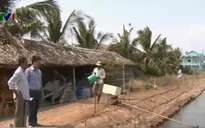 Sóc Trăng: Hiệu quả từ mô hình nuôi tôm không dịch bệnh