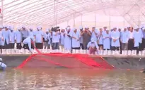 Khảo sát mô hình nuôi tôm trong nhà kính đầu tiên tại ĐBSCL
