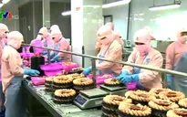 Xuất khẩu tôm có thể tăng trở lại từ năm 2016