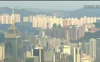 Các thành phố lớn đối phó với ô nhiễm không khí