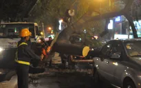 TP.HCM: Cây lớn bật gốc, đè bẹp 2 xe ô tô đang dừng đèn đỏ