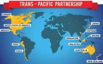 Đàm phán TPP bắt đầu diễn ra tại Hawaii