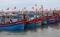 Trên 22.650 tàu, thuyền được thông báo về diễn biến của bão để chủ động phòng tránh