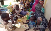 Nigeria giải cứu gần 180 con tin bị Boko Haram giam giữ