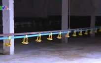 Hàng loạt trang trại gà công nghiệp “treo” chuồng