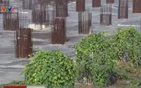 Dự án Tricon Tower: Đi tìm "dấu tích" chủ đầu tư