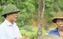 3 phương án bố trí việc làm cho 600 đội viên trí thức trẻ