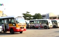 TP.HCM: Thanh tra việc trợ giá xe bus