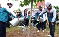 Tết trồng cây với thông điệp bảo vệ môi trường
