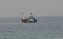 Đưa 35 ngư dân gặp nạn vào bờ an toàn