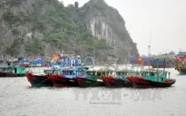 Quảng Ninh chủ động ứng phó với bão số 1