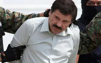 Trùm ma túy Guzman vượt ngục tại Mexico