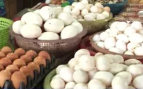 Hà Nội: Giá trứng gia cầm biến động trong mùa Trung thu
