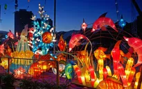 Singapore rực rỡ sắc màu Trung thu
