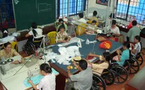 Hỗ trợ hòa nhập kinh tế xã hội và việc làm cho người khuyết tật