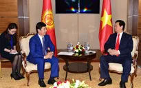 Thủ tướng Nguyễn Tấn Dũng hội kiến với Thủ tướng Kyrgyzstan