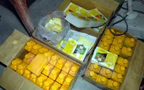 Thu giữ gần 9 tấn phân bón không rõ nguồn gốc tại Đồng Tháp