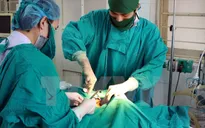 Nối thành công động mạch cánh tay cho bệnh nhân bị khỉ độc cắn